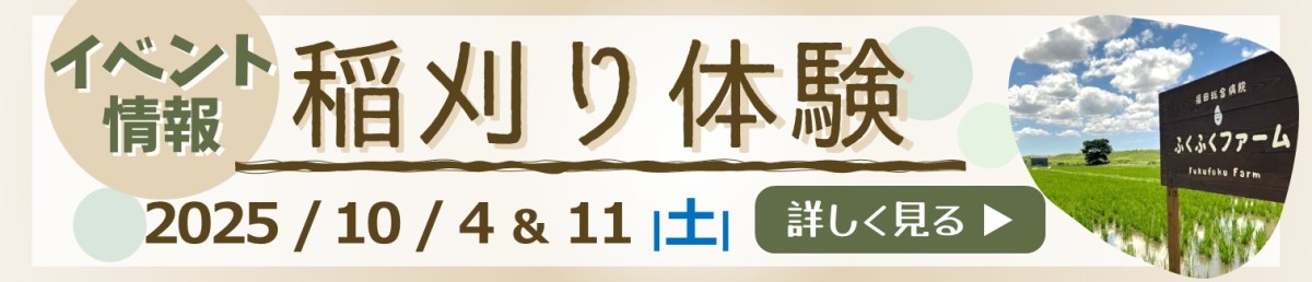 稲刈り体験